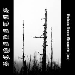 Moribundo Bosque Siempreverde